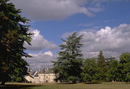 Valea Loarei, gradina Frantei