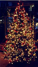 Sarbatori de Craciun la Brasov