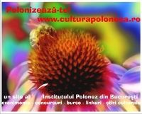 Sound's Nest - concert multimedia, Institutul Polonez