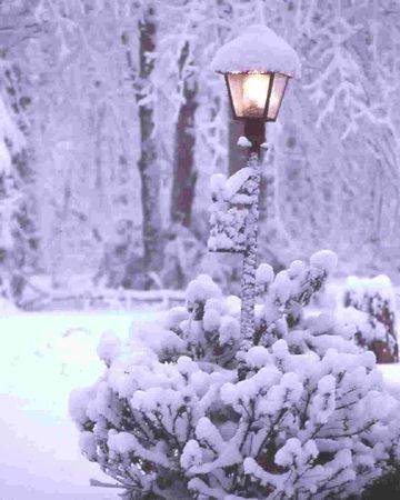 Colinde si cantece de Craciun, Ateneul Roman, Bucuresti