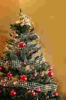 Traditia Bradului de Craciun