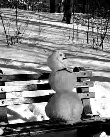 Sarbatori de iarna in Cismigiu