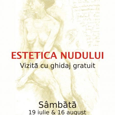 estetica nudului la mnar