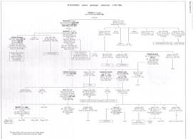 Genealogic tree House of Hesse