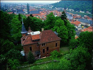 biblioteca heidelberg