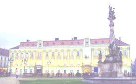 Timisoara Art Museum