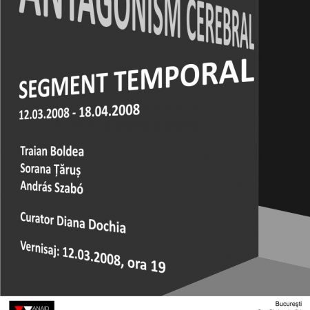 segment temporal