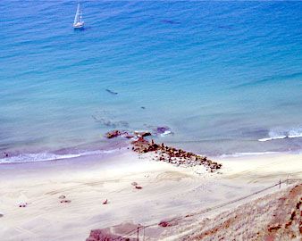 imagini Porto Santo