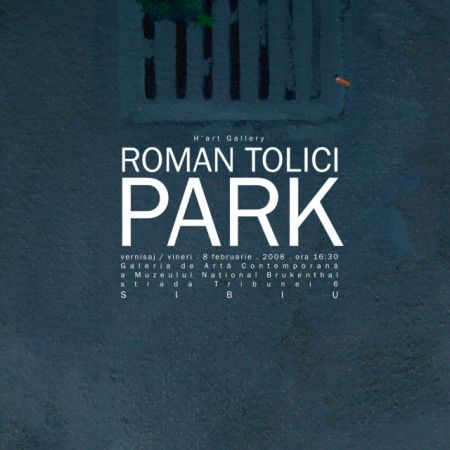 expozitie roman tolici