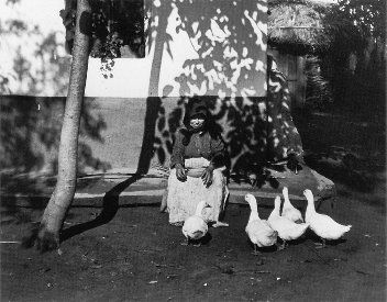 Kertesz Feeding the ducks