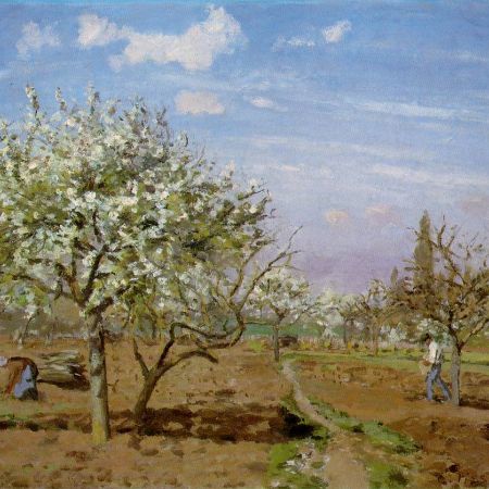 orchard