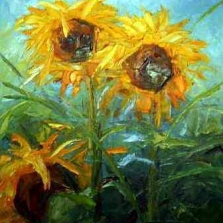 sunflowers