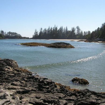 tofino