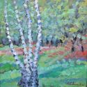 Grove with birch trees
