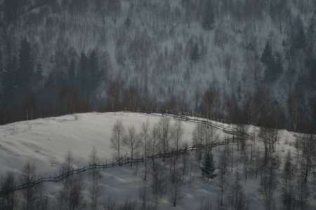 Bran, Romania / Zafiriadis Oana