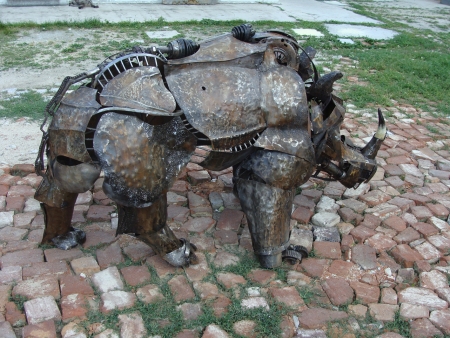 Rhinoceros / Molnar Eduard Andrei