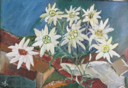 EDELWEISS / Dumitrescu Zelici Steluta