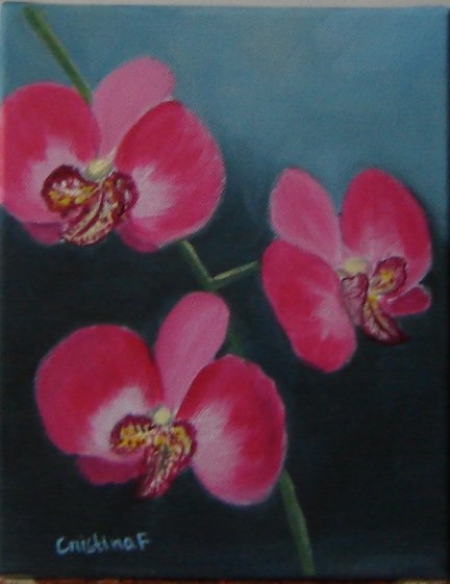 PINK ORCHID / FRATILA CRISTINA