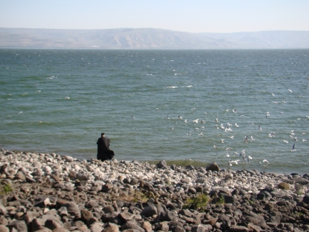 Marea Galilee / Dumitrescu Elena-Miruna