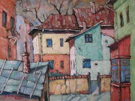 old houses in Dorna 2 / Croitor David