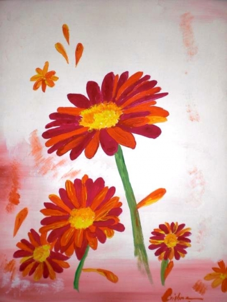 Gerbera / Socobean  Cristina