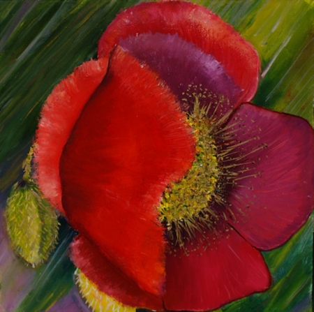 Red Flower / Dumitrescu Zelici Steluta