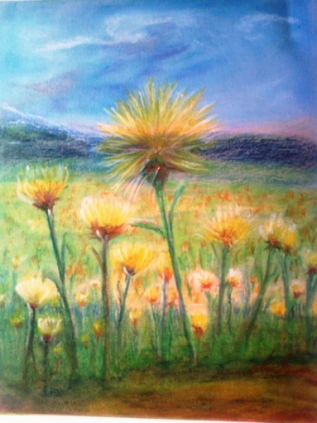 Dandelions / Moada Marcela Elena