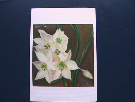 Fleurs blanches / Slujitoru Lucretia