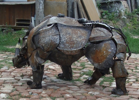 Rhinoceros 3 / Molnar Eduard Andrei