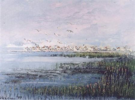 Pelicans / Vescu Teodor