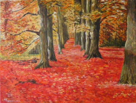 Autumn in the maple forest / Popescu Marinela