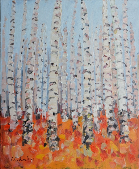 Birch trees / Candea Daradici Iulia