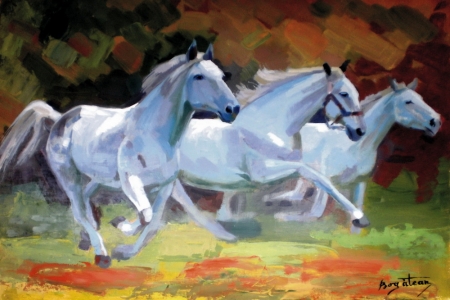 White Horse running / Bogatean Calin