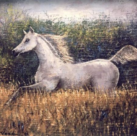 Horse in gallop / Vescu Teodor