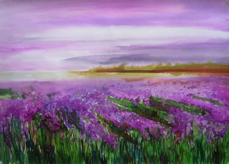 Lavender Landscape 3 / Calinoiu  Gabriela 