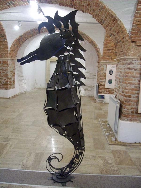 Black sea horse / Ignat Radu