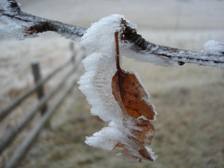 winter / Raducanu Raluca