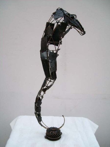 Sea horse / Ignat Radu