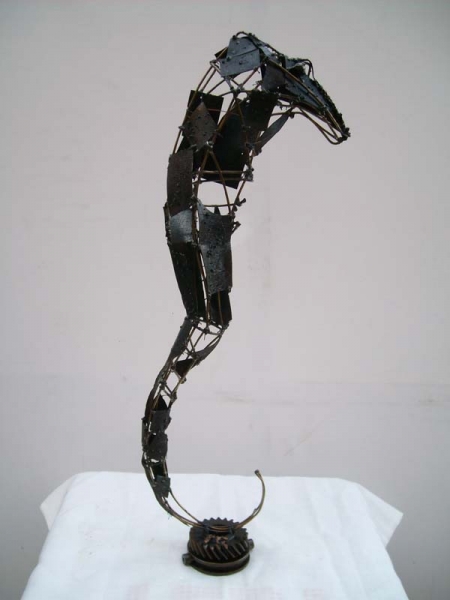 Cal de mare / Ignat Radu