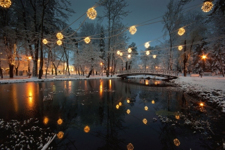 Lake in a park / Gal Zsolt