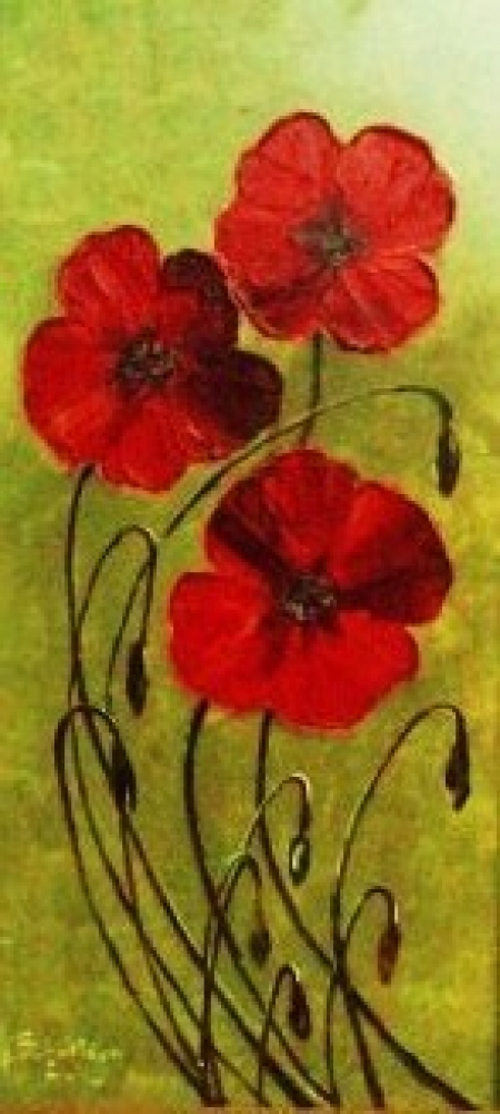 Poppies 3 / bran viorel