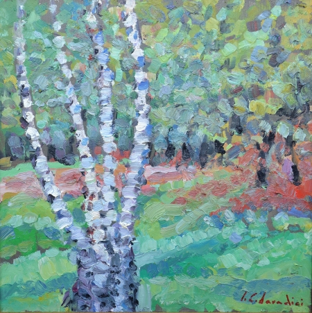 Grove with birch trees / Candea Daradici Iulia