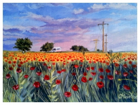 Field with poppies / Musetescu Ovidiu
