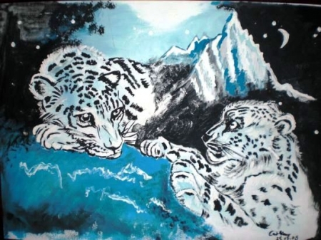 Tigers / Socobean  Cristina