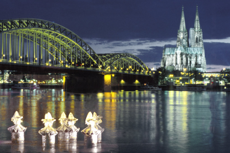 Birds on Rhine / Havadi-Nagy Stefan