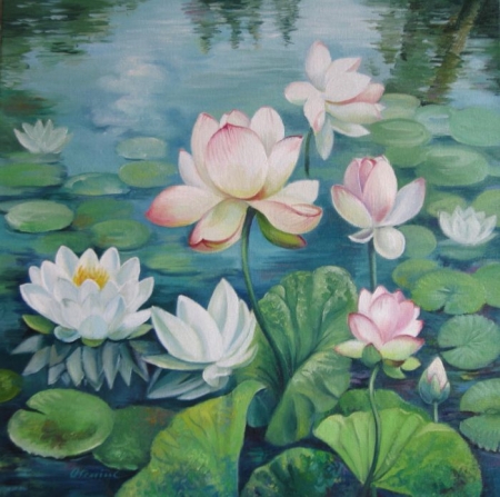 Flori de lotus / Oleniuc Elena