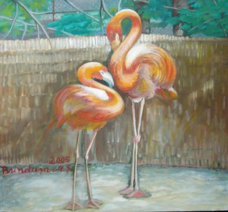 Flamingo / Mates Stanciu Brindusa