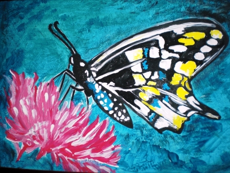 Butterfly / Socobean  Cristina