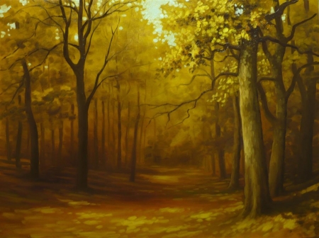 autumn forest / Sandu Eduard