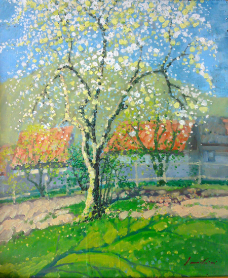 Tree in blossom at Berevoiesti / Daradici Constantin